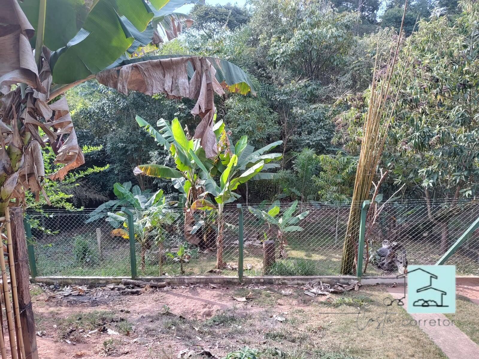 Fazenda à venda com 3 quartos, 400m² - Foto 11