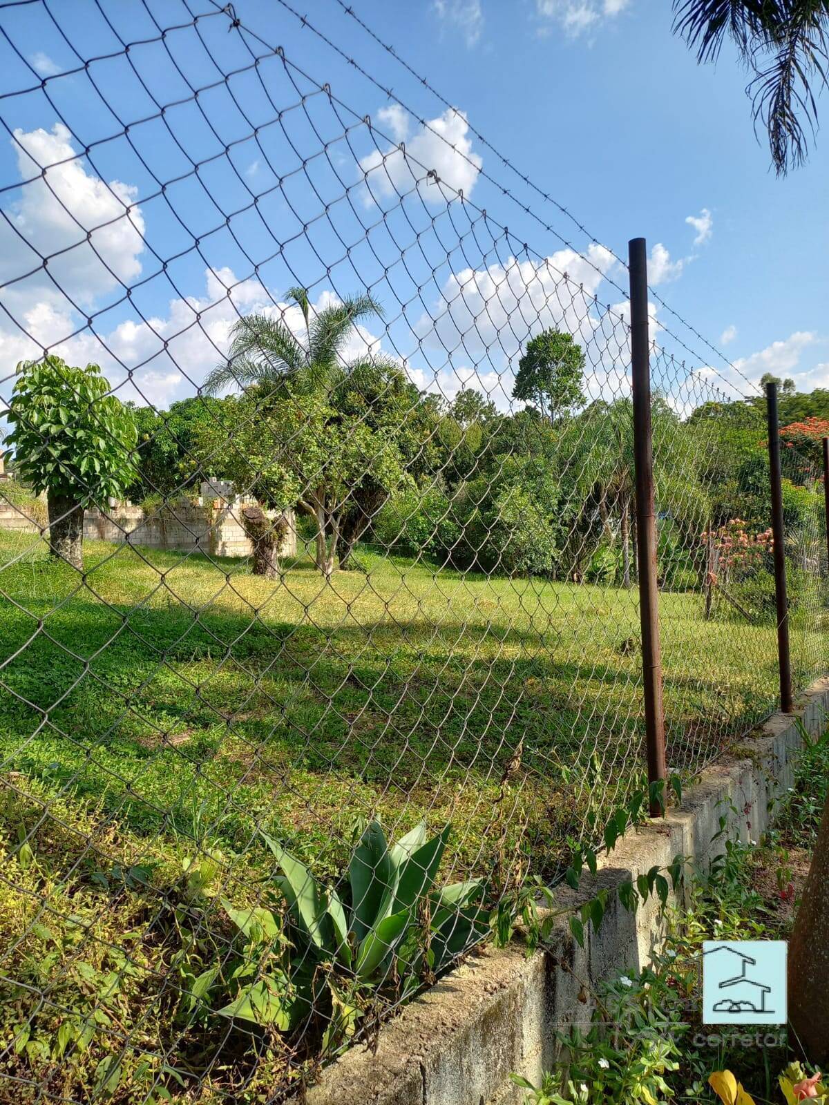 Terreno à venda, 1100m² - Foto 2